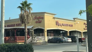Bijan logo