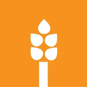 Rice Mediterranean Kitchen logo