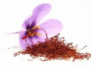 Cafe Saffron logo