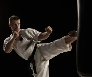NV martial arts & fitness academy logo