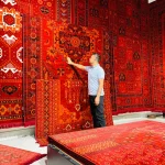 Stylish Rugs & Carpets logo