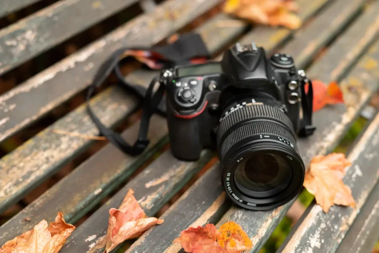 SaraSeen photography