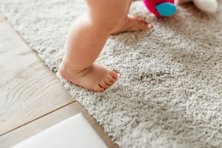 Surena Rugs