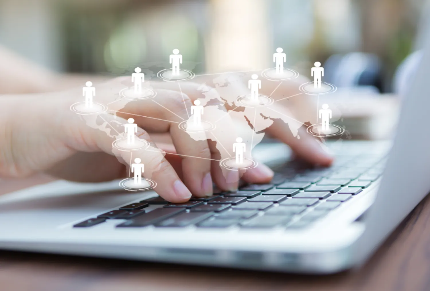 Florida Iranian Business Network directory