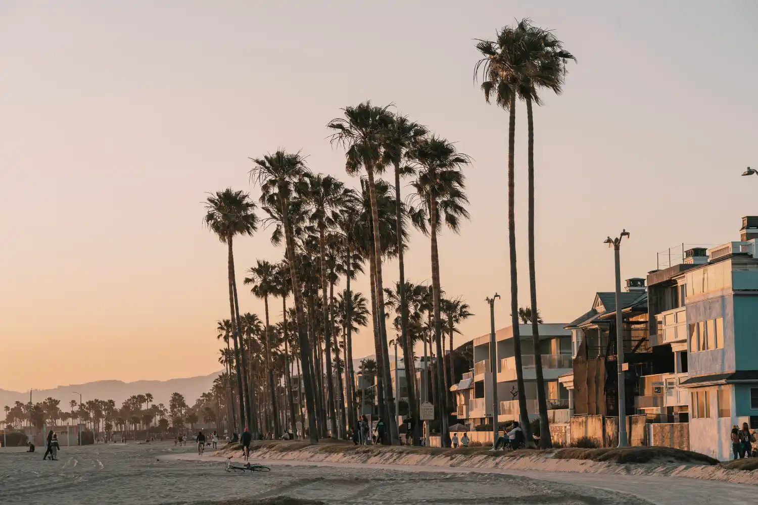 Sunset at a California beach with palm trees and buildings, the vibrant setting for Iranian businesses in California.