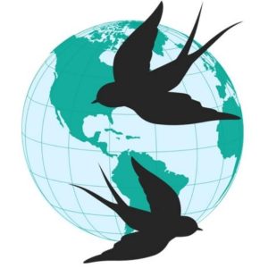 Dou Parastoo logo
