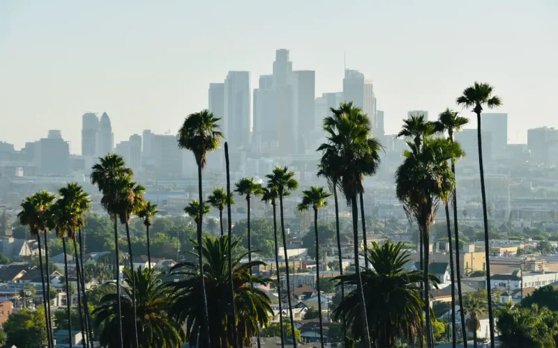Discover Tehrangeles, the vibrant heart of Persian culture in LA’s Westwood and Beverly Hills neighborhoods.