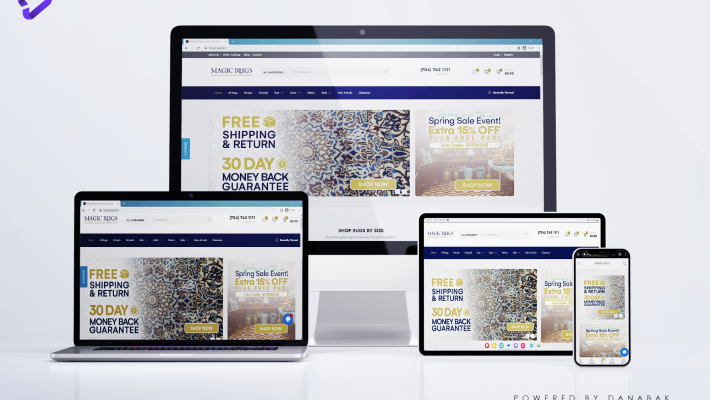 Danabak digital marketing agency - web design 3