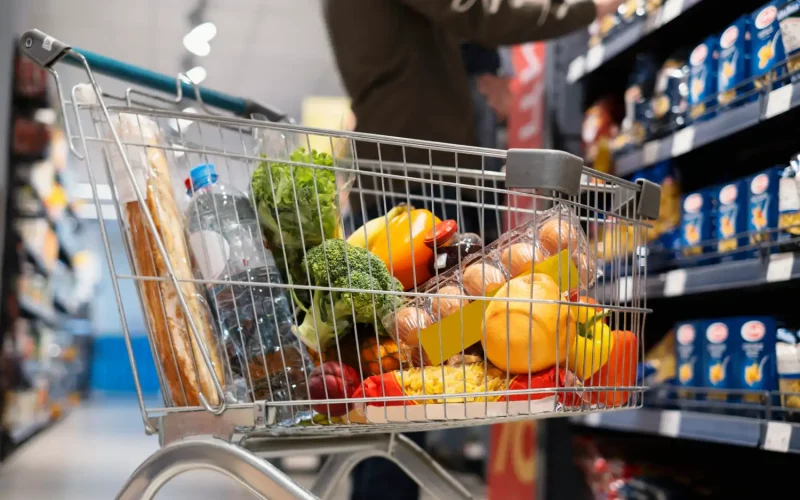 A shopping cart filled with fresh produce and groceries at Pars Persian Market, part of the Iranian Business Community in Dallas.