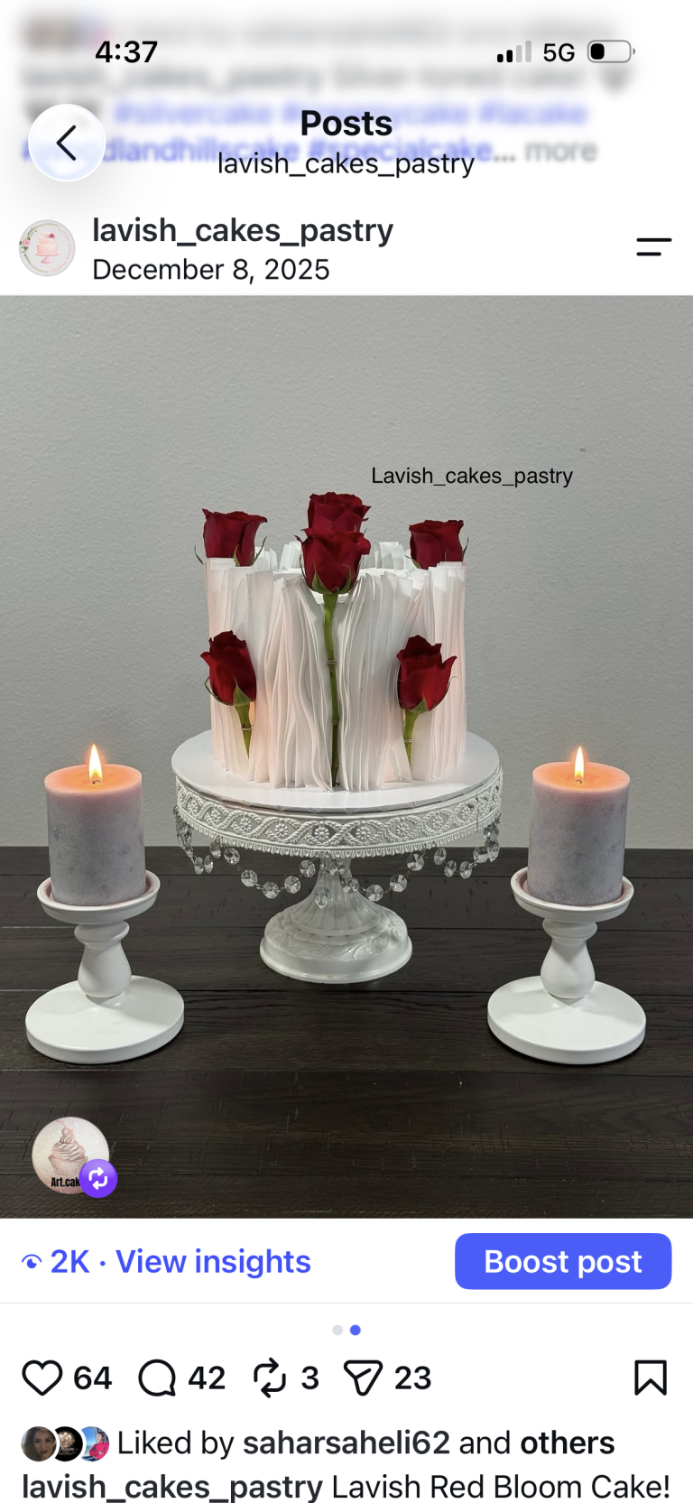 Lavish cake photo